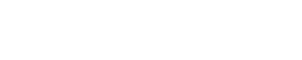 BerTouristic Logo